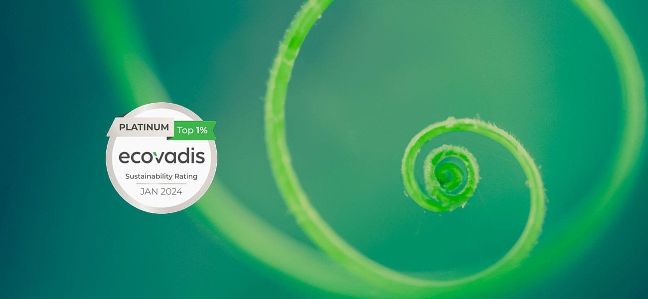 bWFpbi9lY292YWRpc19zbGlkZS0xNzA2MTg1MzMxLmpwZw==